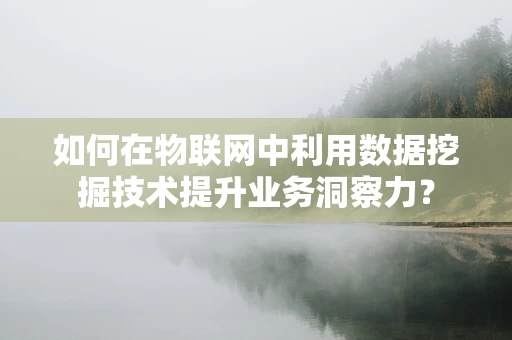 如何在物联网中利用数据挖掘技术提升业务洞察力？