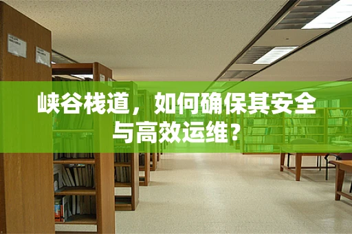 峡谷栈道，如何确保其安全与高效运维？