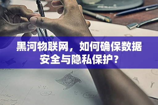 黑河物联网，如何确保数据安全与隐私保护？