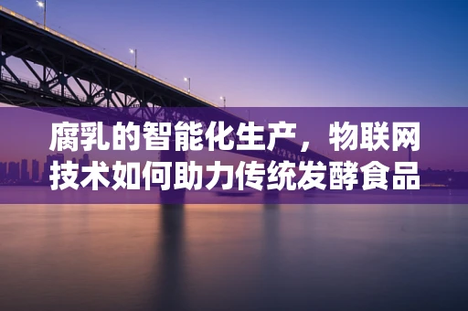 腐乳的智能化生产，物联网技术如何助力传统发酵食品的现代化升级？
