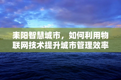耒阳智慧城市，如何利用物联网技术提升城市管理效率？