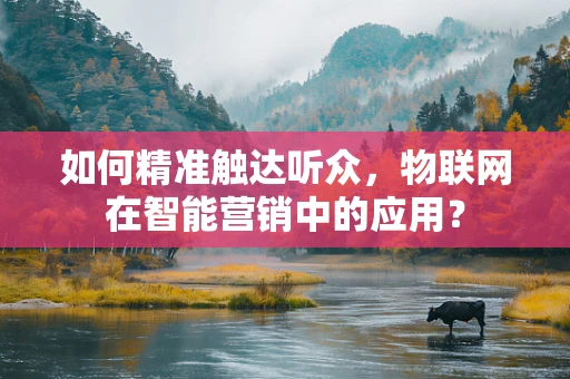 如何精准触达听众，物联网在智能营销中的应用？