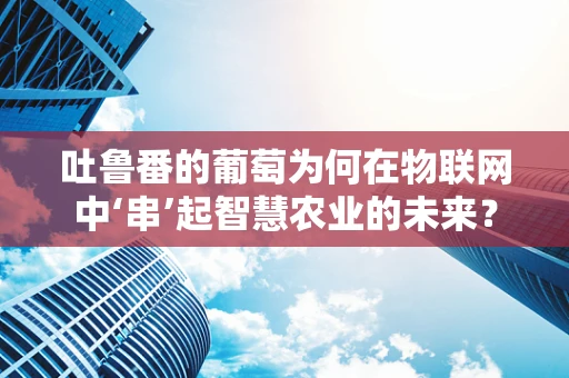 吐鲁番的葡萄为何在物联网中‘串’起智慧农业的未来？