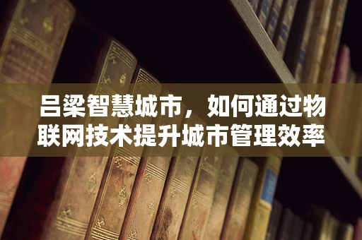 吕梁智慧城市，如何通过物联网技术提升城市管理效率？