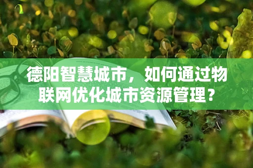 德阳智慧城市，如何通过物联网优化城市资源管理？