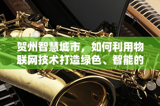 贺州智慧城市，如何利用物联网技术打造绿色、智能的未来？