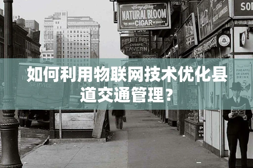 如何利用物联网技术优化县道交通管理？