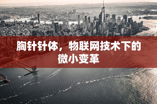 胸针针体，物联网技术下的微小变革