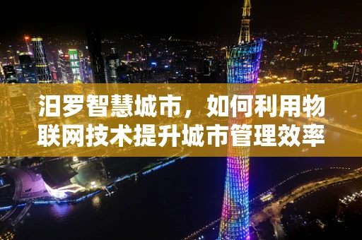 汨罗智慧城市，如何利用物联网技术提升城市管理效率？