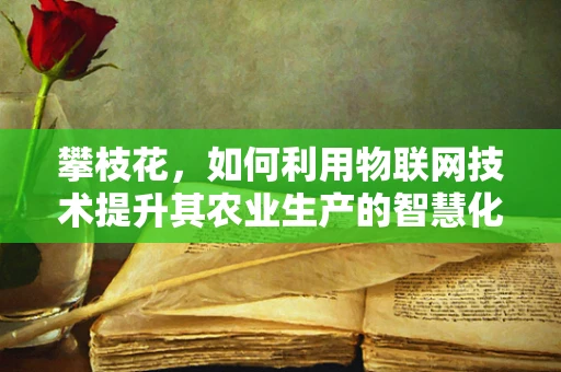 攀枝花，如何利用物联网技术提升其农业生产的智慧化水平？