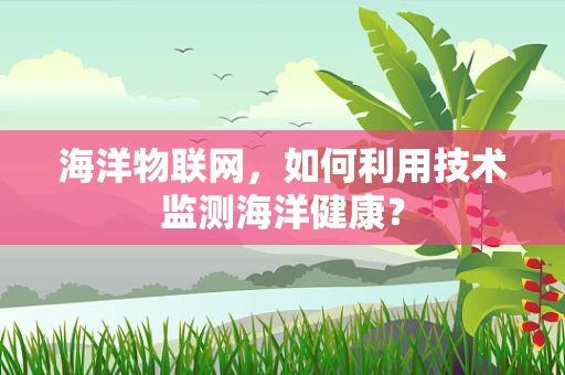 海洋物联网，如何利用技术监测海洋健康？