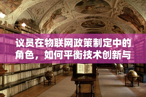 议员在物联网政策制定中的角色，如何平衡技术创新与公众利益？