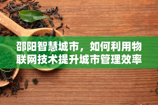 邵阳智慧城市，如何利用物联网技术提升城市管理效率？