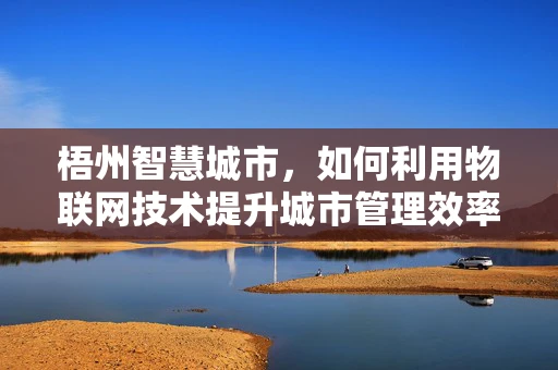 梧州智慧城市，如何利用物联网技术提升城市管理效率？