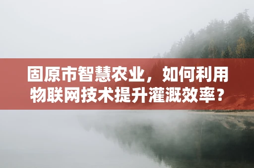 固原市智慧农业，如何利用物联网技术提升灌溉效率？