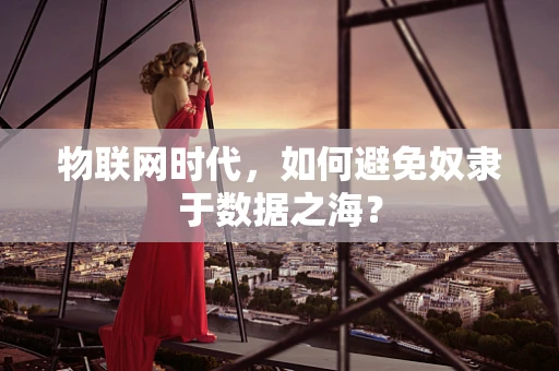 物联网时代，如何避免奴隶于数据之海？