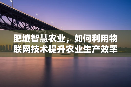 肥城智慧农业，如何利用物联网技术提升农业生产效率？