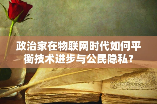 政治家在物联网时代如何平衡技术进步与公民隐私？