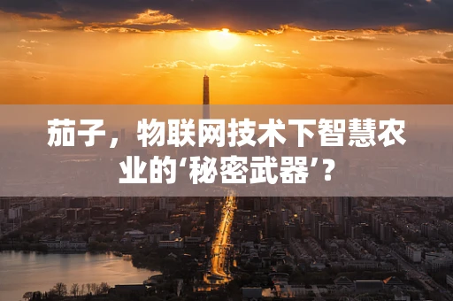 茄子，物联网技术下智慧农业的‘秘密武器’？