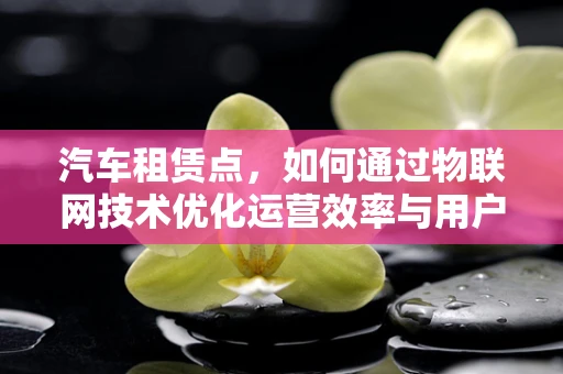 汽车租赁点，如何通过物联网技术优化运营效率与用户体验？
