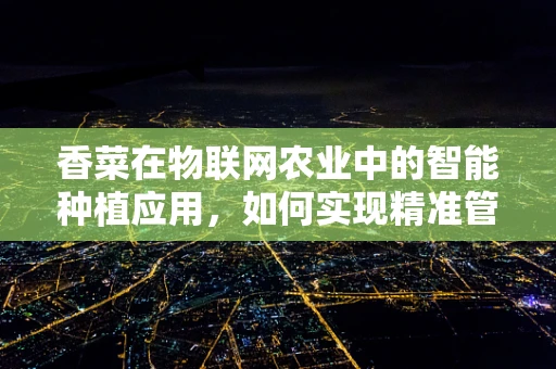 香菜在物联网农业中的智能种植应用，如何实现精准管理？