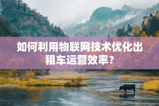 如何利用物联网技术优化出租车运营效率？