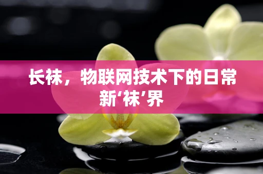 长袜，物联网技术下的日常新‘袜’界