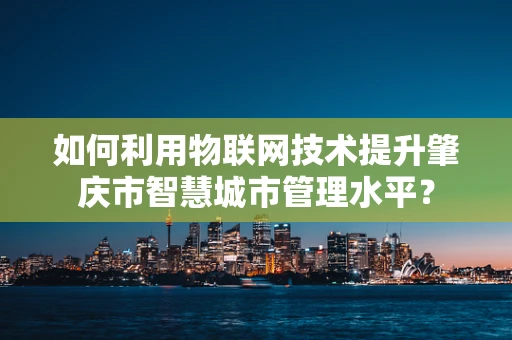 如何利用物联网技术提升肇庆市智慧城市管理水平？