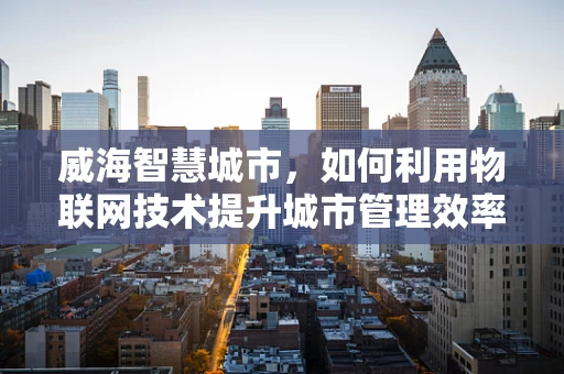 威海智慧城市，如何利用物联网技术提升城市管理效率？