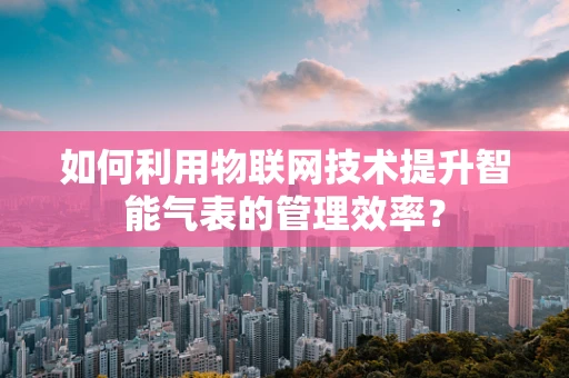如何利用物联网技术提升智能气表的管理效率？