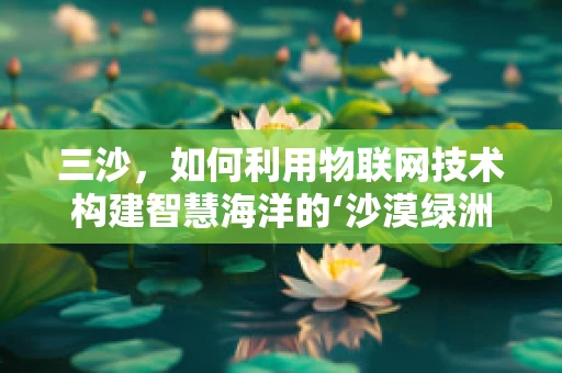 三沙，如何利用物联网技术构建智慧海洋的‘沙漠绿洲’？