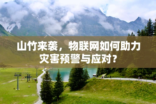 山竹来袭，物联网如何助力灾害预警与应对？