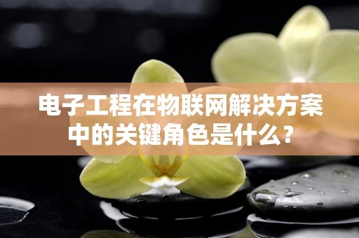 电子工程在物联网解决方案中的关键角色是什么？