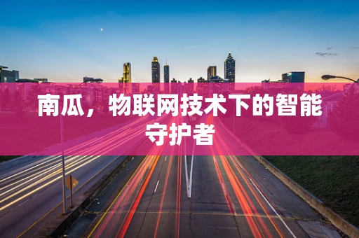南瓜，物联网技术下的智能守护者
