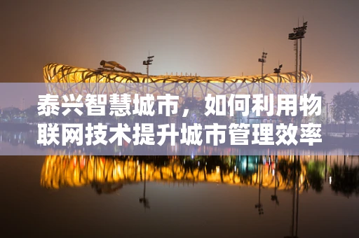 泰兴智慧城市，如何利用物联网技术提升城市管理效率？