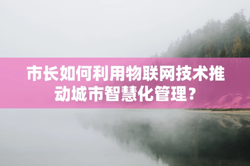 市长如何利用物联网技术推动城市智慧化管理？