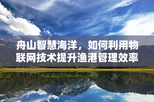 舟山智慧海洋，如何利用物联网技术提升渔港管理效率？
