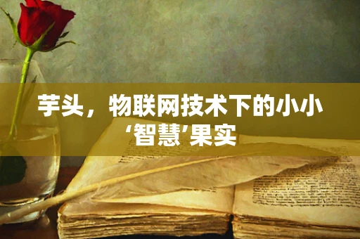 芋头，物联网技术下的小小‘智慧’果实