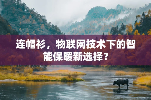 连帽衫，物联网技术下的智能保暖新选择？