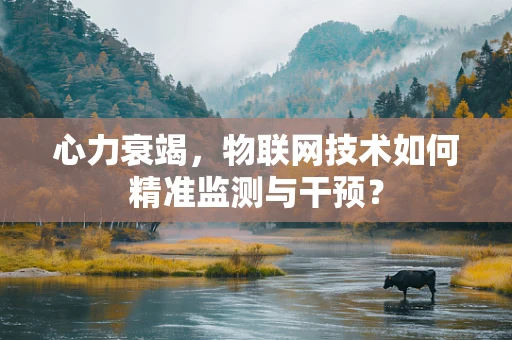 心力衰竭，物联网技术如何精准监测与干预？