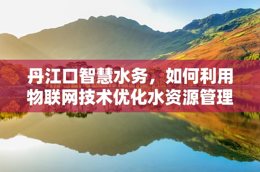 丹江口智慧水务，如何利用物联网技术优化水资源管理？