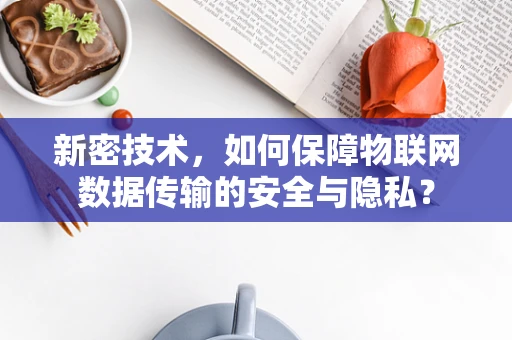 新密技术，如何保障物联网数据传输的安全与隐私？