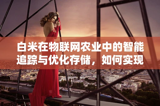 白米在物联网农业中的智能追踪与优化存储，如何实现精准管理？