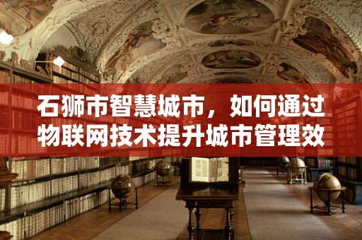 石狮市智慧城市，如何通过物联网技术提升城市管理效率？