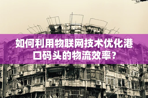 如何利用物联网技术优化港口码头的物流效率？