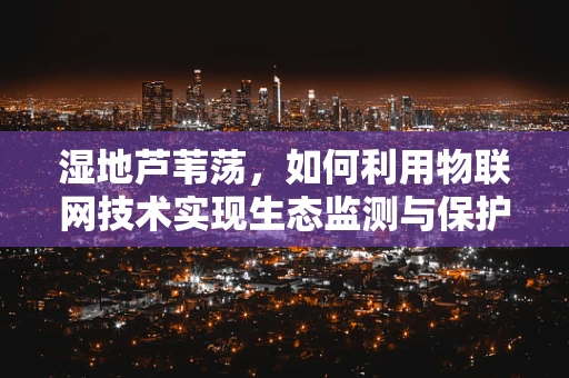 湿地芦苇荡，如何利用物联网技术实现生态监测与保护？