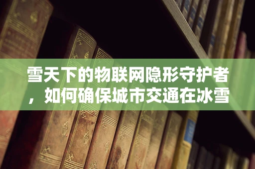 雪天下的物联网隐形守护者，如何确保城市交通在冰雪中畅通无阻？