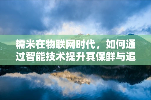 糯米在物联网时代，如何通过智能技术提升其保鲜与追踪效率？
