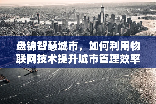 盘锦智慧城市，如何利用物联网技术提升城市管理效率？