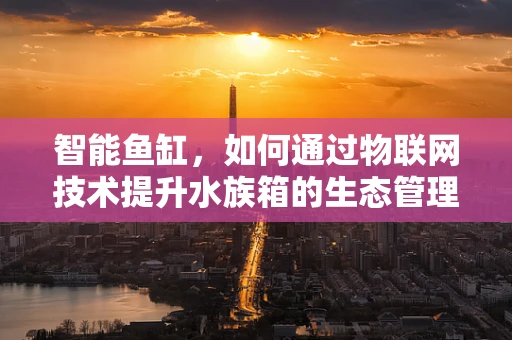 智能鱼缸，如何通过物联网技术提升水族箱的生态管理？